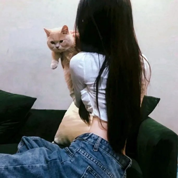 恐龙蛋